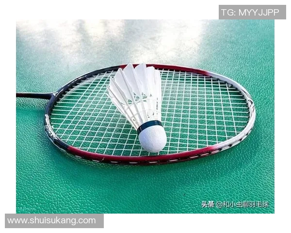 从零基础到高手之路羽毛球灵活性全面提升指南
