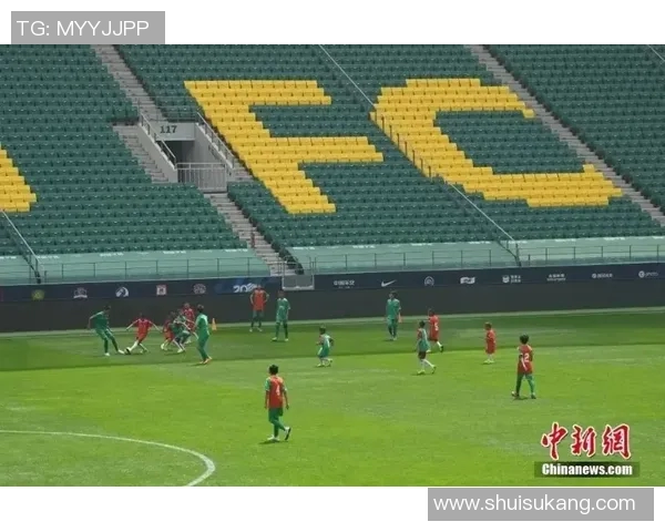 北京排球队在联合会杯中的速度表现分析与点评