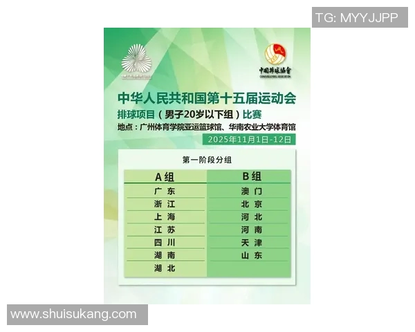 武汉排球队领跑最新排球团队协作榜单前十名分析与展望