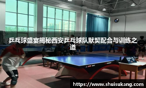 乒乓球盛宴揭秘西安乒乓球队默契配合与训练之道